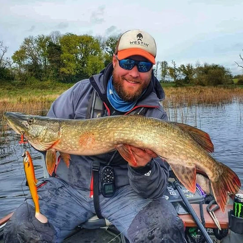 Westin Bullteez Shadtail Single Lures